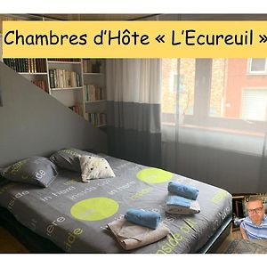 Chambres D'Hote "L Ecureuil" Proche De Mons, Pairi Daiza, A Cote De Spark'Oh Frameries Exterior photo