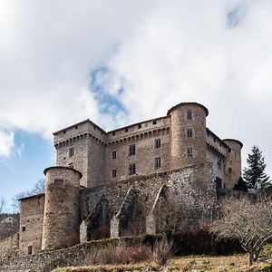 Вилла Chateau Des Marcilly Talaru Шальмазель Exterior photo