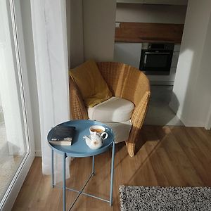 Апартаменты Apartament Jasinskiego Z Ogrodem Пясечно Exterior photo