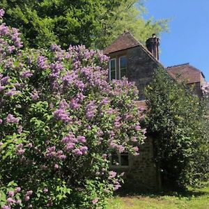 Апартаменты Beautiful Converted Stable In Peaceful Somerset, Close To The Jurassic Coast Чард Exterior photo