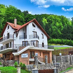 Charming Villa In A Private Mountain Resort Брашов Exterior photo