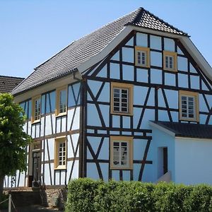 Bed and Breakfast Anno 1772 Dattenfeld Exterior photo
