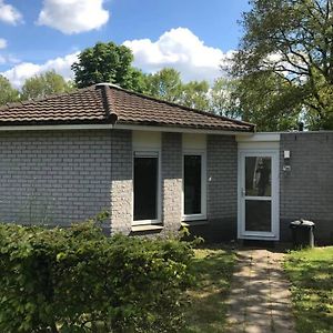 Вилла Rustig Gelegen Bungalow In Mooi Havelte Exterior photo