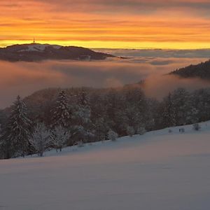 Отель Werdtberg Moutier Exterior photo