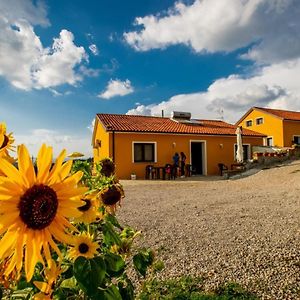 Bed and Breakfast Spazio Natura Кастельмеццано Exterior photo