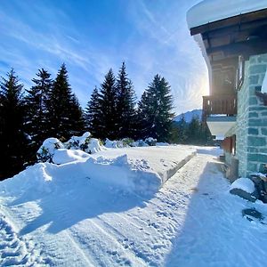 Вилла Chalet Wulli In Der Naehe Der Skianlagen Савоньин Exterior photo