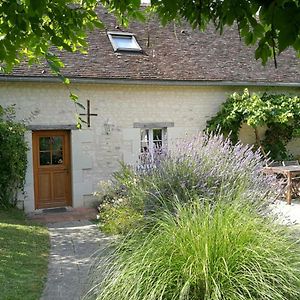 Вилла Gite Calme Au Coeur De Vignoble Bio Avec Piscine, Proche Azay-Le-Rideau - Fr-1-381-238 Brizay Exterior photo