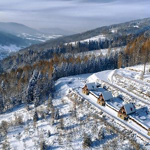 Вилла Domki Beskid Жики Exterior photo