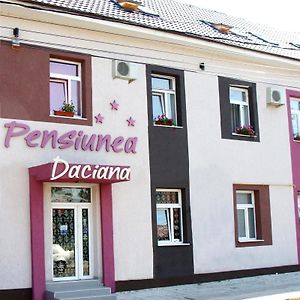 Pension Daciana Бакэу Exterior photo