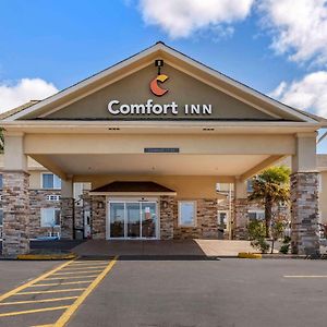 Comfort Inn Роузберг Exterior photo