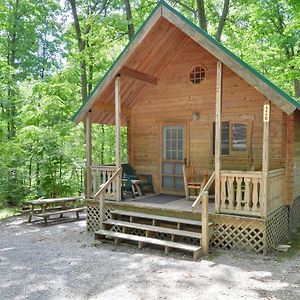 Отель Spring Gulch Chalet 12 Mount Airy Exterior photo