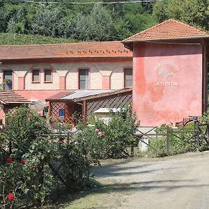 Вилла Agriturismo La.Ti.Mi.Da. Кассине Exterior photo