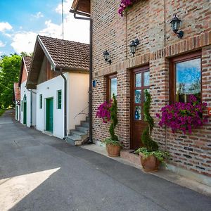 Гостевой дом Podrumi Kolar "Suza Baranje" Knezevi Vinogradi Exterior photo