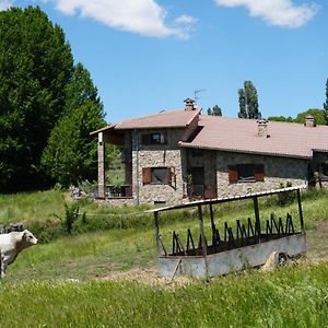 Вилла La Puerta De Gredos Сан-Мартин-дель-Пимпольяр Exterior photo