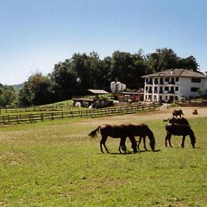 Bed and Breakfast Favetto Family Ranch Rueglio Exterior photo