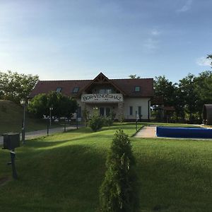 Отель Bor-Vendeghaz Кишкёрёш Exterior photo