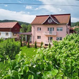 Вилла Vila Teo Barasti Exterior photo