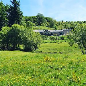 Гостевой дом Ranch Du Haut-Languedoc La Salvetat-sur-Agout Exterior photo