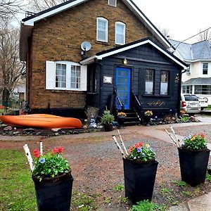 Blue Spruce B&B Muskoka Грейвенхерст Exterior photo