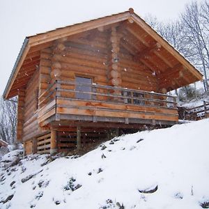 Вилла Chalet Bois Chaleureux Avec Terrasse, Internet Et Animaux Acceptes - Fr-1-496-187 Saint-Martin-la-Sauvete Exterior photo