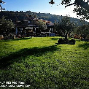 Вилла La Collina Dei Goti Agriturismo ,Azienda Agricola Cerreta  Exterior photo