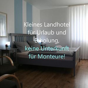 Bed and Breakfast Landhaus Edelweiss Bed&Breakfast - Adults Only Нойштадт-ам-Ренштайг Exterior photo