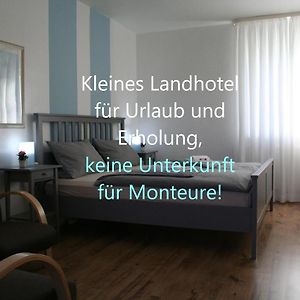 Landhaus Edelweiss Bed&Breakfast - Adults Only Нойштадт-ам-Ренштайг Exterior photo