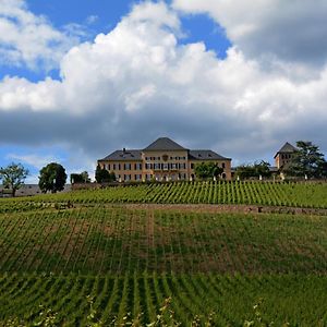 Апартаменты Auszeit Rheingauer Rosengasse Johannisberg Exterior photo