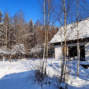 Вилла Na Skraju Szlakow Sarnetki Exterior photo