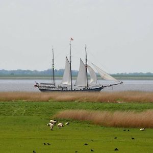 Апартаменты Auszeit Am Elbdeich In Sankt Margarethen Exterior photo