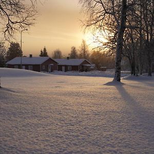 Вилла Lapland Stuga & Tours Rentjarn Exterior photo