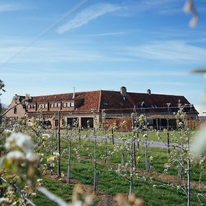 Bed and Breakfast Hoeve Roosbeek Zepperen Exterior photo