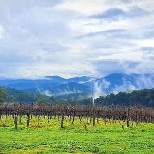 Вилла Kinam Vinea - A Vineyard Farmhouse In The Yarra Valley Gladysdale Exterior photo