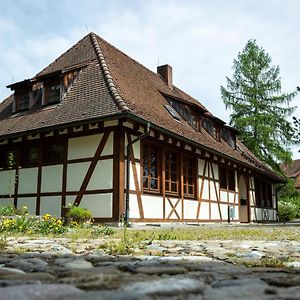 Отель Schloss Hohenfels/ Gaestehaus Morgenrot Hohenfels  Exterior photo