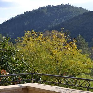 Вилла Maison Au Coeur Des Cevennes Meridionales Сент-Андре-де-Майен Exterior photo