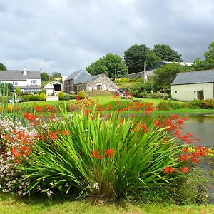 Bed and Breakfast Polhilsa Farm Callington Exterior photo