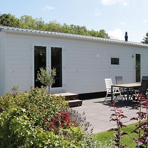 Вилла Tidy Chalet With A Microwave, Near The Wadden Sea Tzummarum Exterior photo