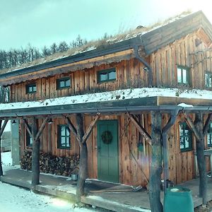 Вилла Chalet Boruvka - Biofarma Na Samote V Lesich Benesov  Exterior photo