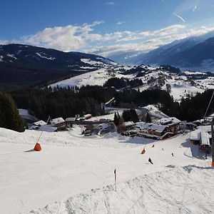 Вилла Panorama Chalet Миттерзилль Exterior photo