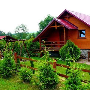 Вилла Agroturystyka Zielona Zagroda W Kosztowej Дубецко Exterior photo