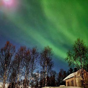 Вилла Cabin Magic On Senja, Atmosphere Like A Fairytale Botnhamn Exterior photo