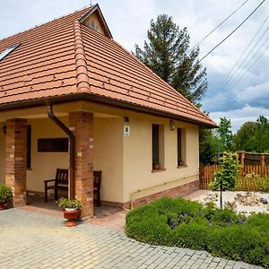 Отель Mezes Vendeghaz Es Apiterapias Koezpont Vizsoly Exterior photo