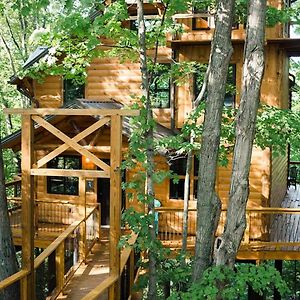 Вилла Treehouse #3 By Amish Country Lodging Миллерсберг Exterior photo