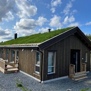 Brand New Cottage With Super Views Skeikampen Свингволл Exterior photo