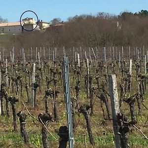 Superbe Gite A La Campagne Dans Le Bordelais Saint-Vivien-de-Blaye Exterior photo