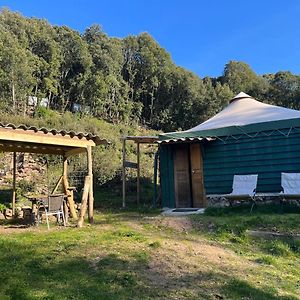 Гостевой дом Cabane 2 Olivese Exterior photo