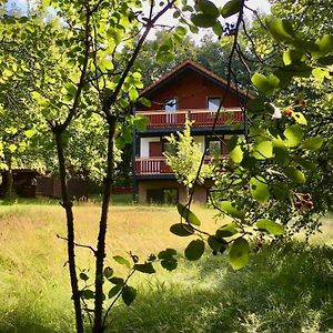 Вилла Ferienhaus Rhoener Wohnen Hilders Exterior photo