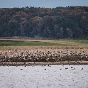 Апартаменты Mueritzblick Am Wuennow Рёбель Exterior photo