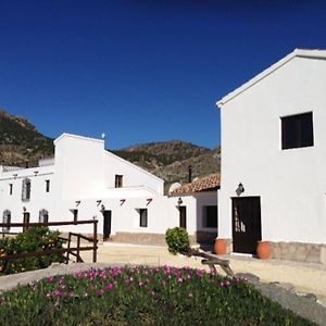 Cortijo Mariposa. Independent Two Bedroomed Holiday Home Альбокс Exterior photo