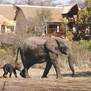 Elephant Plains Game Lodge Охотничий заповедник Саби-Санд Exterior photo